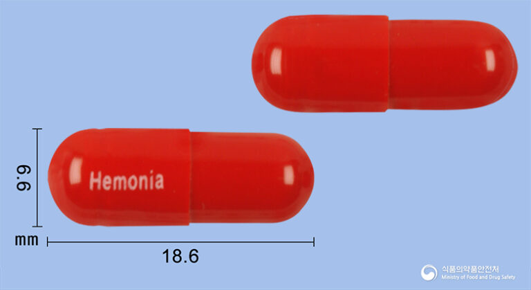 빈혈에 시달린다면? 헤모니아캡슐(폴리사카리드철착염)의 효능과 올바른 복용법
