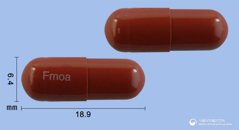 철 결핍성 빈혈 예방 및 치료, 훼로모아캡슐의 모든 것