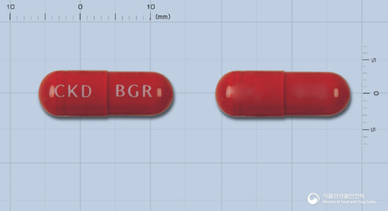 만성피로? 어지럼증? 철 결핍성 빈혈엔 볼그레캡슐! 효과와 복용법