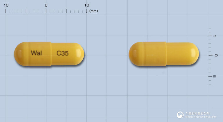 기침 가래 잡는 노스핀캡슐, 똑똑하게 복용하는 법 💊
