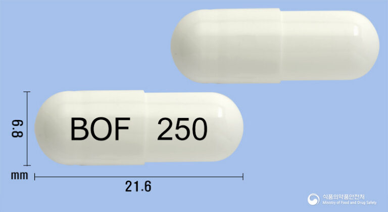장 건강 지킴이 비오플250캡슐, 효과적인 장 트러블 개선 가이드