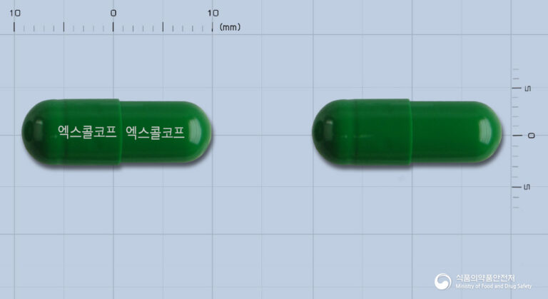 한풍제약 엑스콜코프캡슐: 기침, 가래, 천식 완화를 위한 필수 정보