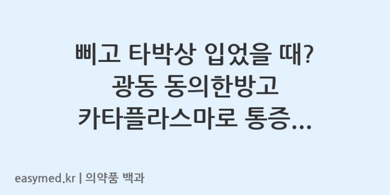 광동동의한방고카타플라스마-200402786