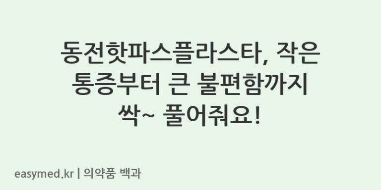 동전핫파스플라스타-201604594