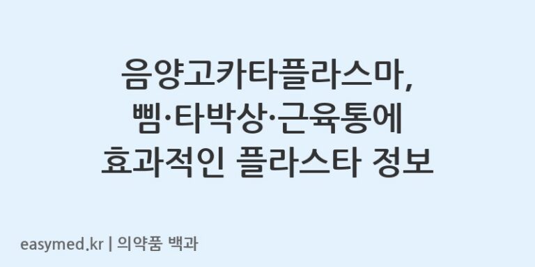 음양고카타플라스마-200403841