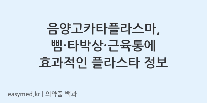 음양고카타플라스마-200403841