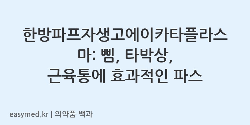 한방파프자생고에이카타플라스마-200403019
