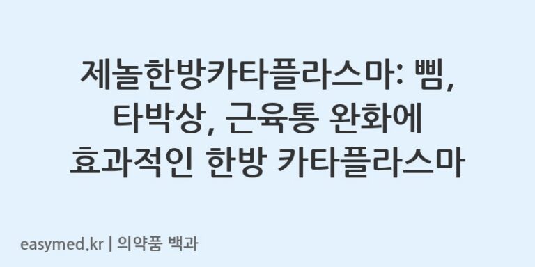 제놀한방카타플라스마-200713744