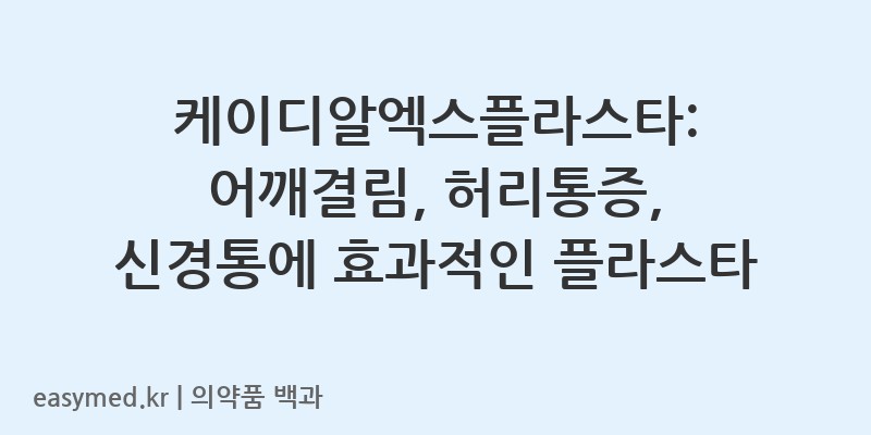 케이디알엑스플라스타수출명TD-RX-Plaster-201900787