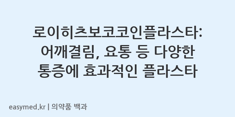 로이히츠보코코인플라스타-202402581