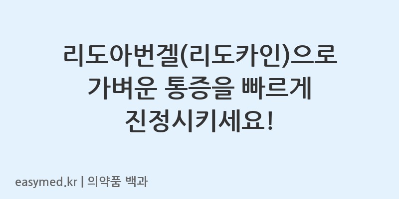 리도아번겔리도카인-201605549